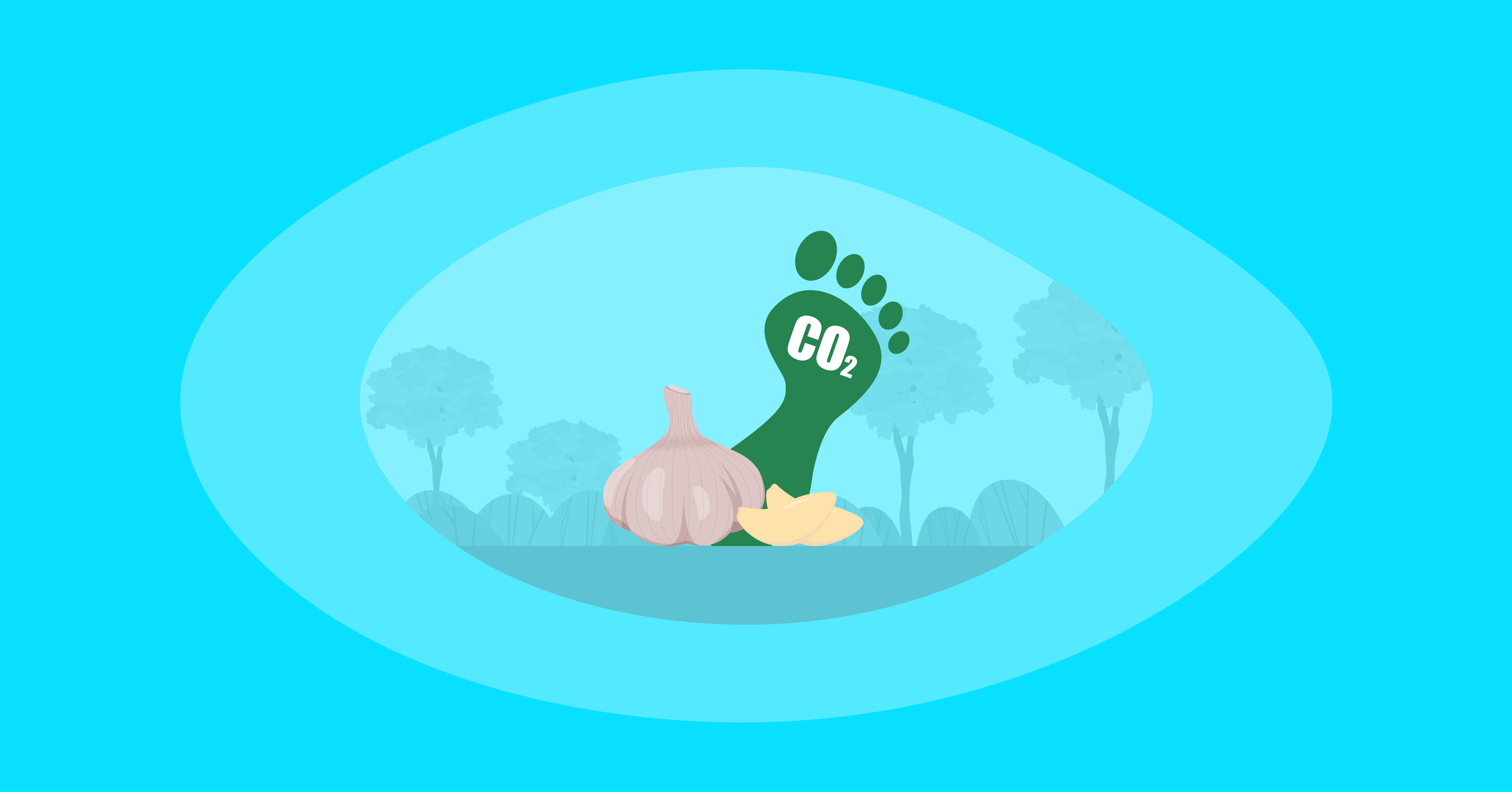 Illustration of garlic and their carbon footprint