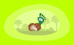 What Is the Carbon Footprint of Mushrooms? A Life-Cycle Analysis