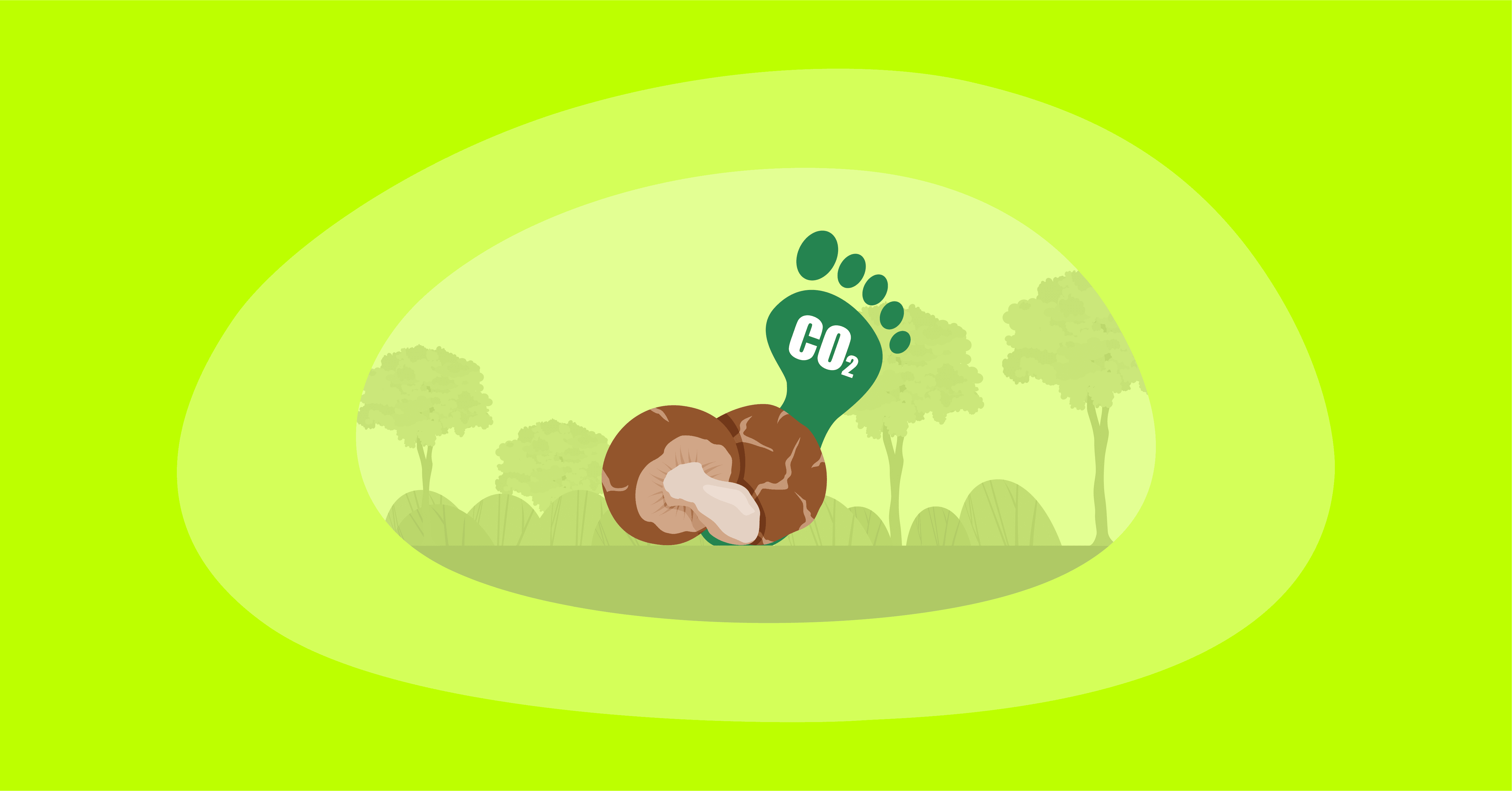 Illustration of mushrooms with their carbon footprint