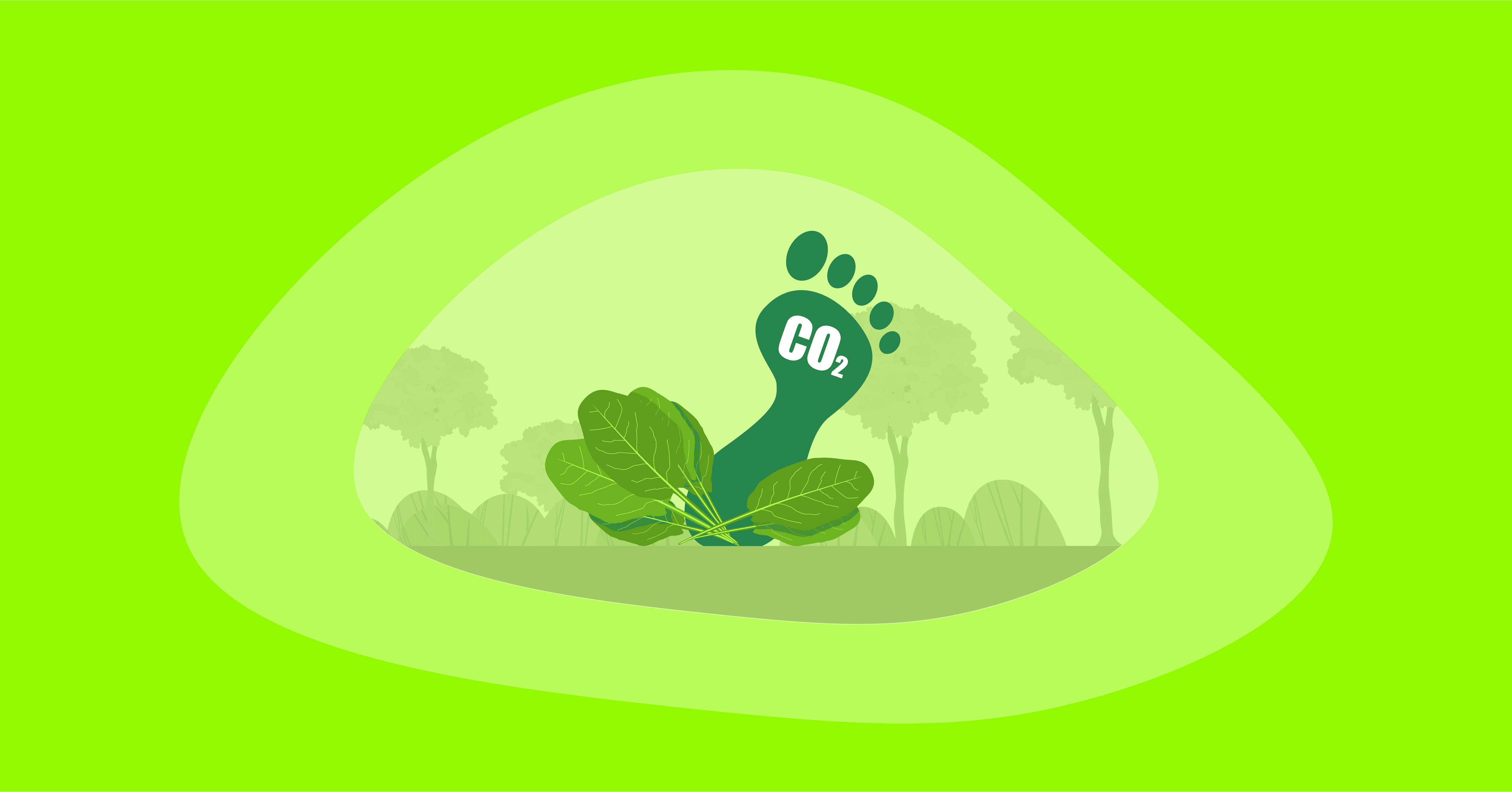 Illustration of spinach with their carbon footprint