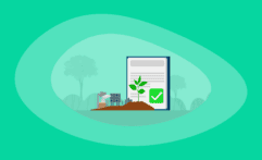 13 Best Carbon Sequestration Offsets (Complete 2025 List)