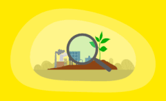 Carbon Sequestration Offsets Explained: All You Need to Know