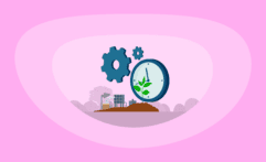 How Effective & Efficient Are Carbon Sequestration Offsets? Here Are the Facts