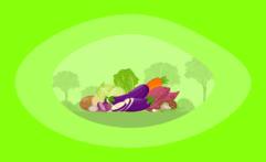 10 Vegetables With the Lowest Carbon Footprint: The Full Life-Cycle Analysis