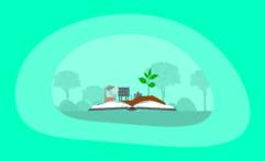 What Are Carbon Sequestration Offsets and How Do They Work: The Big Picture