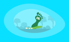 What Is the Carbon Footprint of Green Onions? A Life-Cycle Analysis