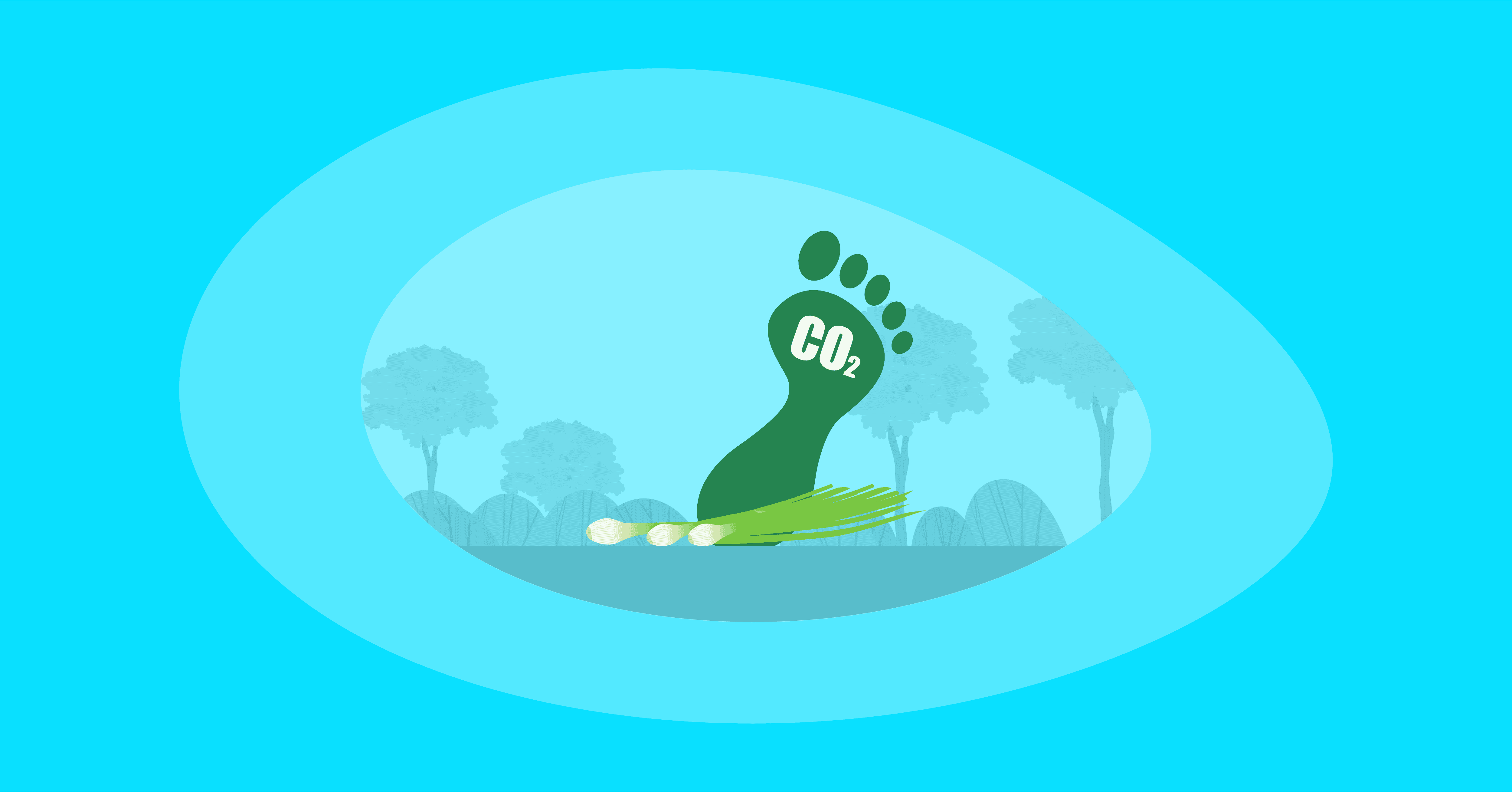 Illustration of green onions and their carbon footprint