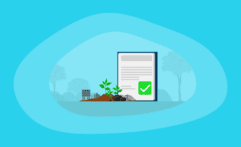 12 Best Carbon Removal Offsets (Complete 2025 List)