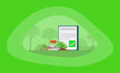 11 Best Nature-Based Carbon Offsets (Complete 2025 List)