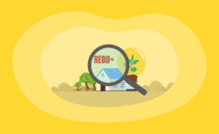 Carbon Reduction Offsets Explained: All You Need to Know