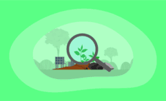 Carbon Removal Offsets Explained: All You Need to Know