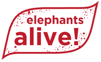 Elephants Alive - Logo Logo for Elephants Alive