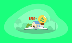 What Are Carbon Reduction Offsets and How Do They Work: The Big Picture