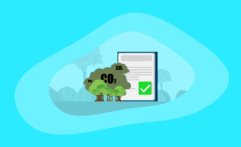 19 Best Carbon Offsets (Complete 2025 List)