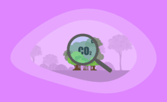 Carbon Offsets Explained: All You Need to Know