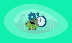 How Effective & Efficient Are Carbon Offsets? Here Are the Facts