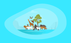20 Best Animal Charities to Donate to (Complete 2025 List)