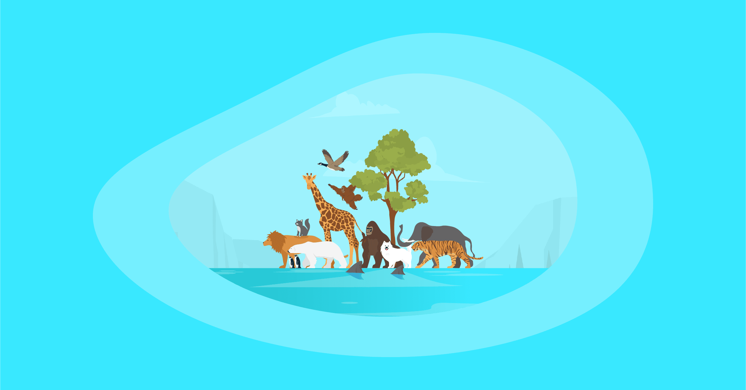 Illustration of a group of different animals