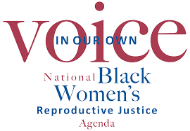 National Black Women’s Reproductive Agenda - logo Logo for National Black Women’s Reproductive Agenda logo