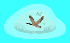9 Best Charities That Help Birds Thrive (Complete 2025 List)