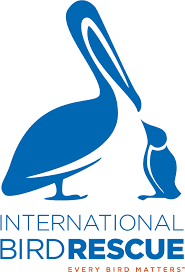 International Bird Rescue - logo Logo for International Bird Rescue