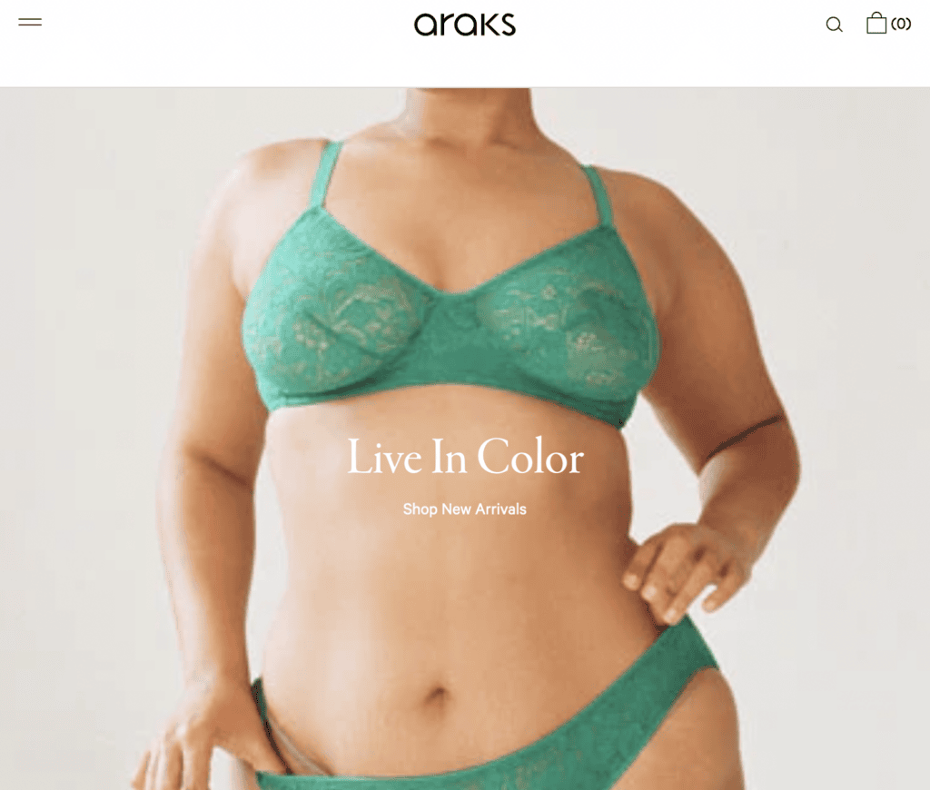 Screenshot of the Araks front page
