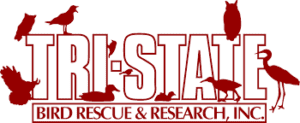 Tri State Bird Rescue Research - logo Logo for Tri-State Bird Rescue & Research