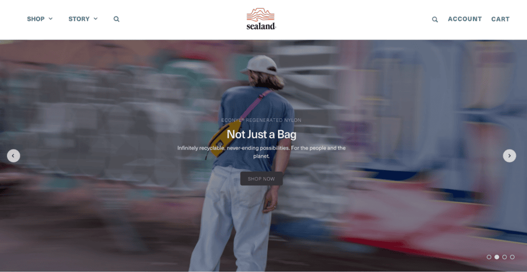 Screenshot of the Sealand front page