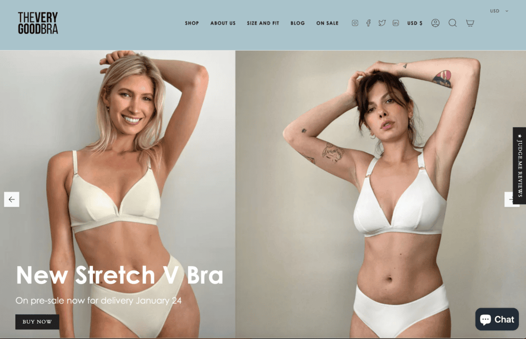 Screenshot of The Very Good Bra Front Page