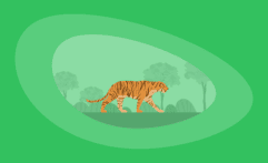 9 Best Charities That Protect Tigers (Complete 2025 List)