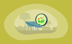 The 4 Main Environmental Drawbacks of Solar Energy: The Big Picture