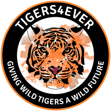 Tigers4Ever - logo Logo for Tigers4Ever
