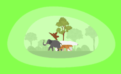 12 Best Charities That Protect Wild Animals (Complete 2025 List)