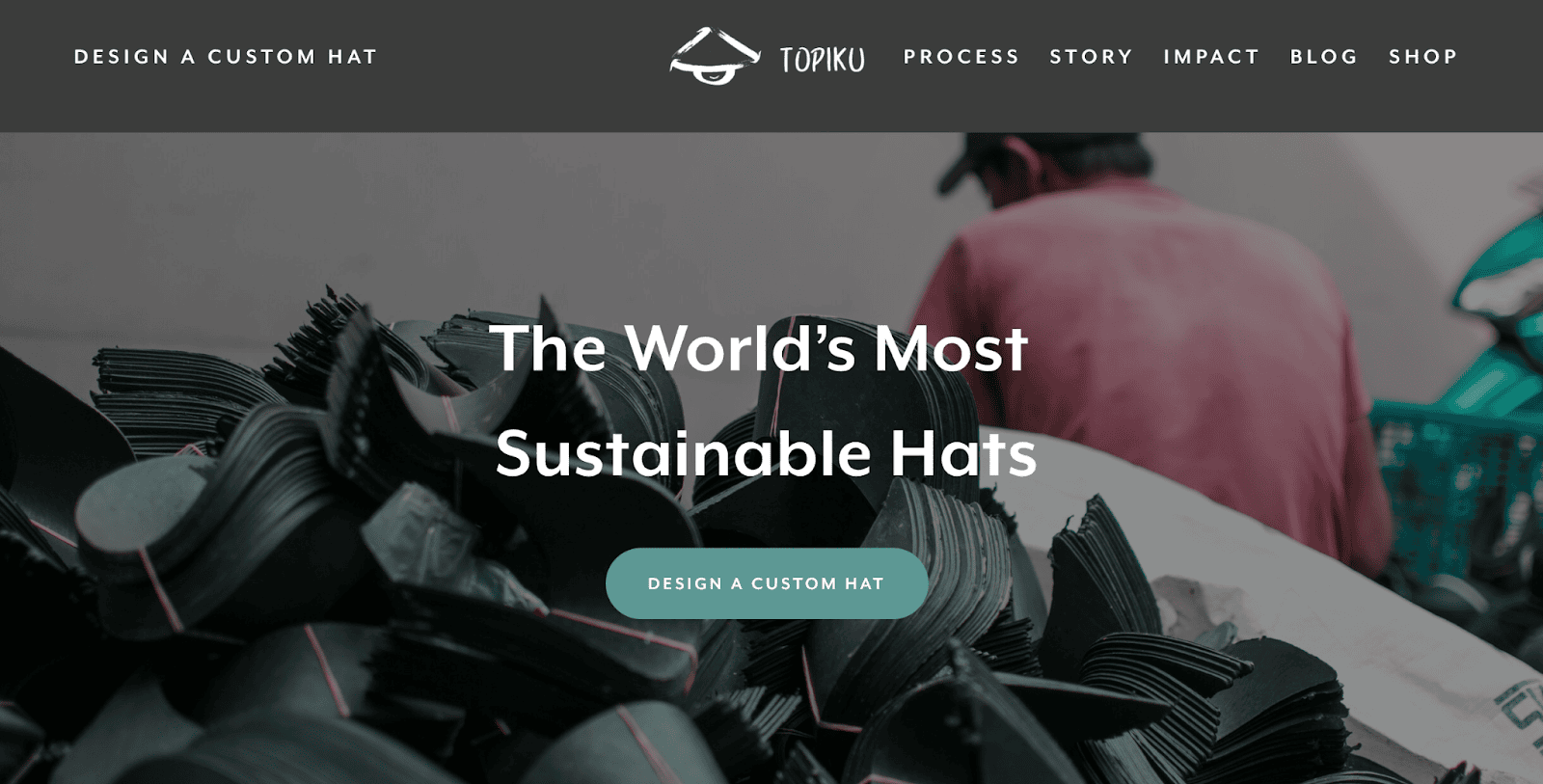 Screenshot of the Topiku front Page