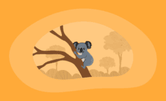 9 Best Charities That Help Koalas (Complete 2025 List)