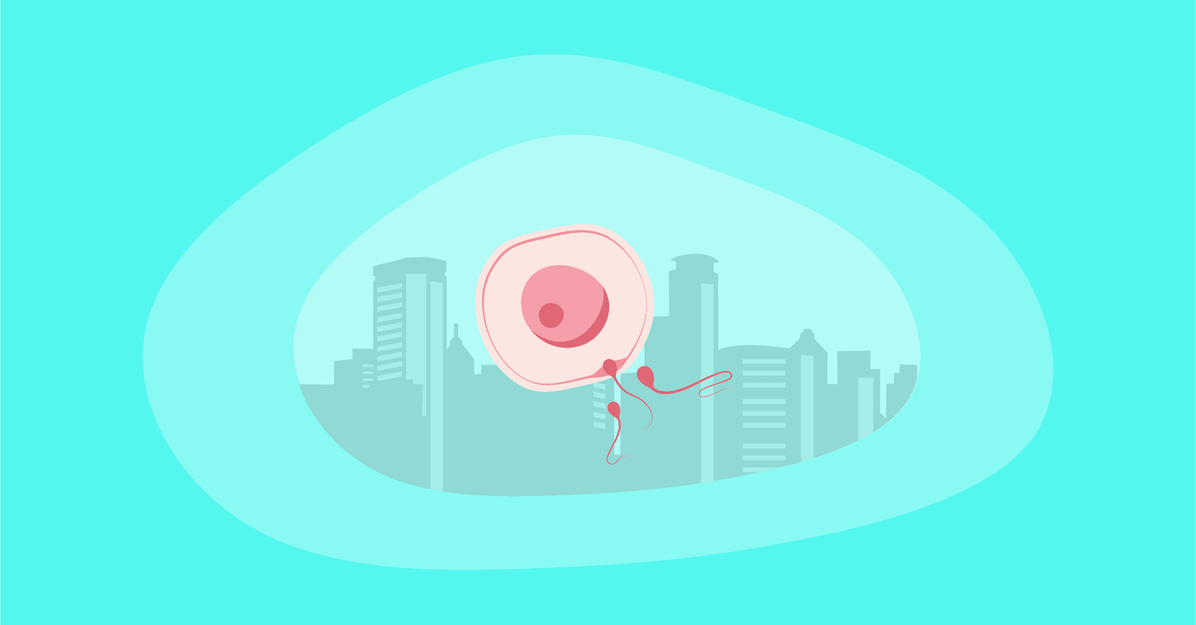 Illustration of fertilization