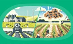 How a New Enzyme Could Revolutionize Natural Carbon Removal in Agriculture