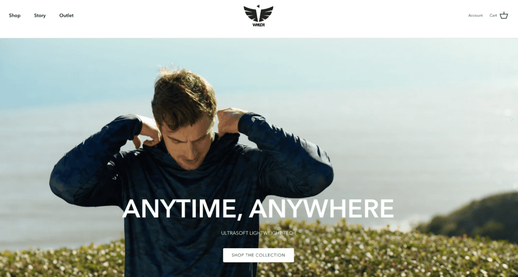 Screenshot of the WYLD1 front page