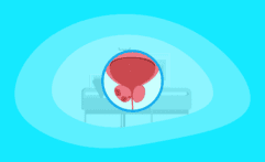 10 Best Charities That Combat Prostate Cancer (Complete 2025 List)