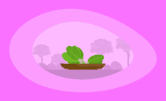 Is Eating Spinach Ethical & Sustainable? Here Are the Facts