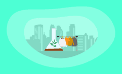 10 Most Sustainable Non-Toxic Clothing Brands: The Conscious Consumer’s Guide