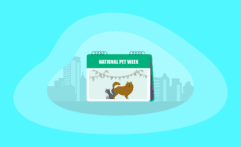 National Pet Week 2026: All You Need to Know