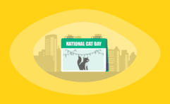 National Cat Day 2026: All You Need to Know