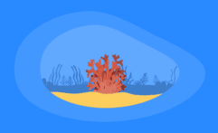 9 Best Charities for Protecting Coral Reefs (Complete 2025 List)