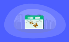 Insect Week 2025: All You Need to Know