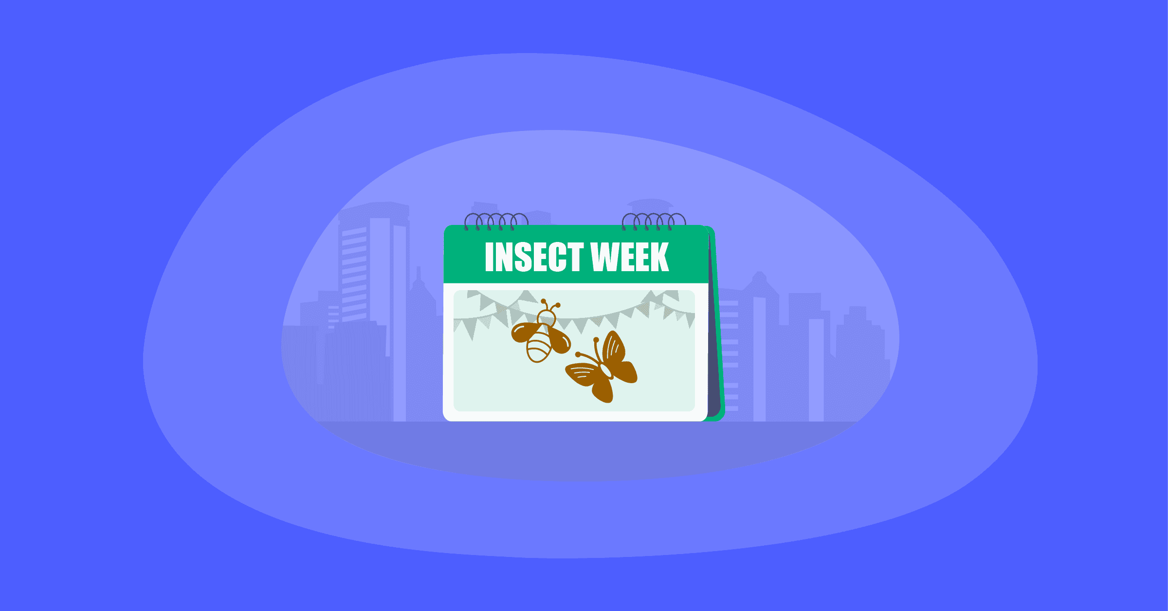 Illustration of Insect Week