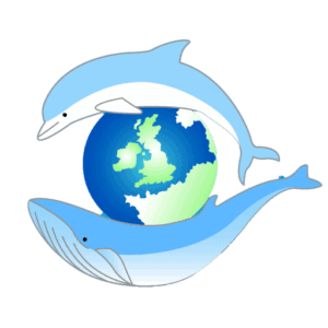 Sea-Watch-Foundation - logo Logo for Sea Watch Foundation