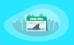 Shark Week 2026: All You Need to Know