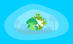 The Environmental Impact of Broccoli: From Farm to Table