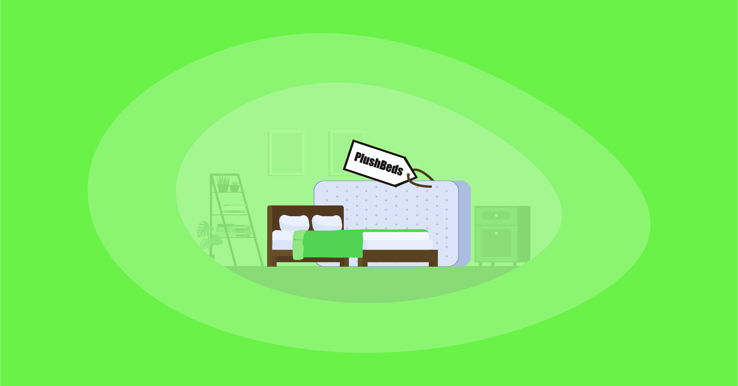 Illustration of PlushBeds Mattresses